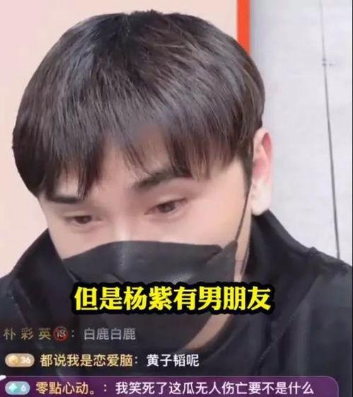 杨紫娱记爆料视频,杨紫娱记爆料视频揭秘娱乐圈幕后真相